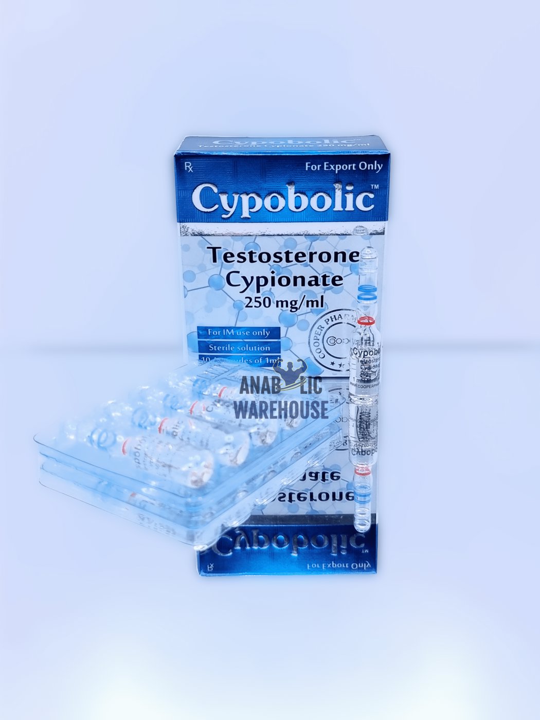 CP - Test C 250