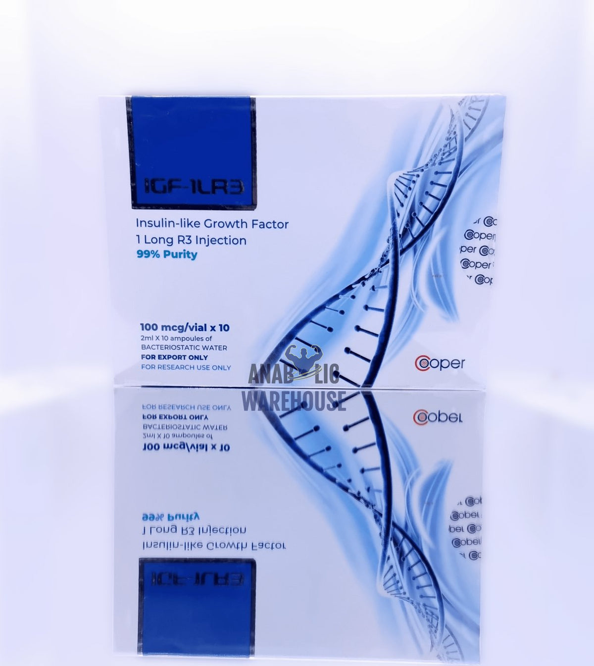 CP - IGF1LR3